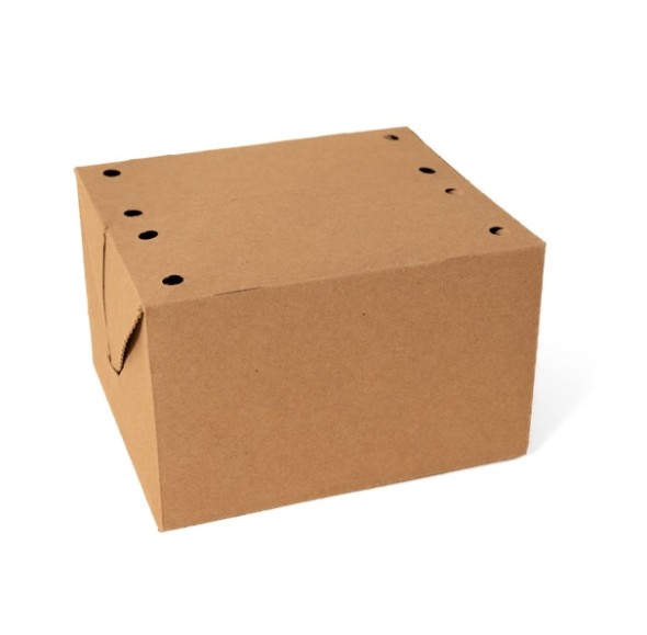 CAJA GRANDE KRAFT 300 GRS FONDO AUTOMATICO