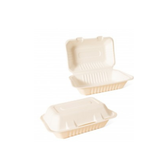 CONTENEDOR 9X6 LISO BAGAZO DE CAÑA