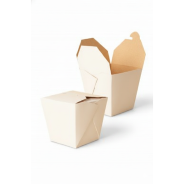 CONTENEDOR ALFA 16 OZ  CARTON COMIDA CHINA