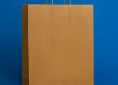 BOLSA CI #8-2 ASA CORDON KRAFT COMPOSTABLE 